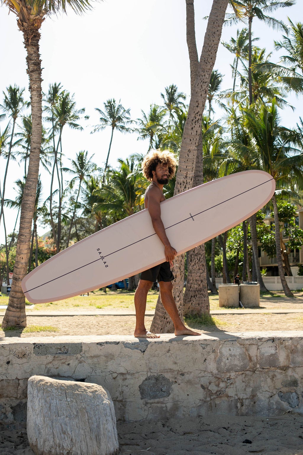 shaka surf board ランドパドルボード &パドルスティック ハワイ shaka surf board ランドパドルボード &パドルスティック ハワイ
